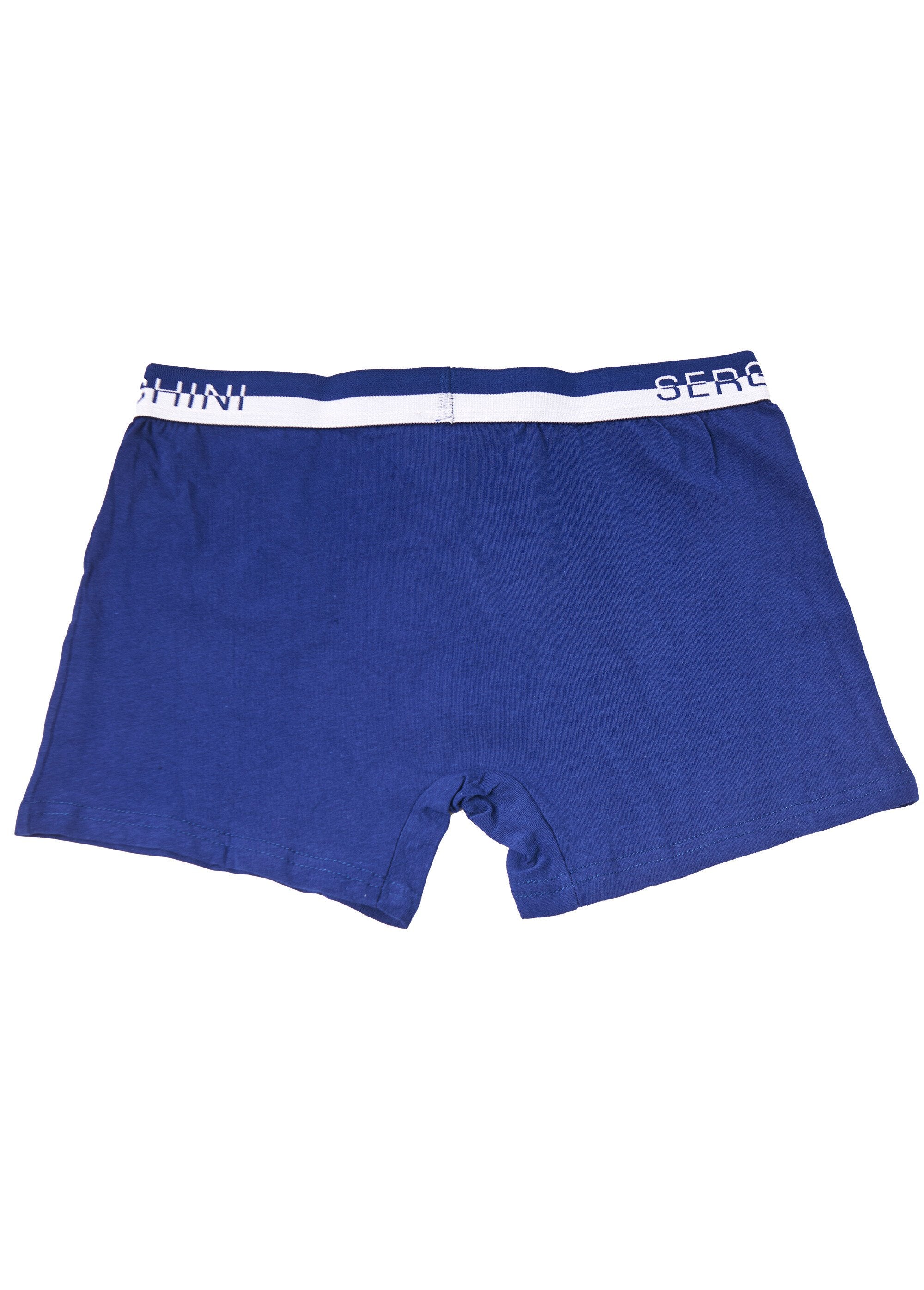 Plain_boxer_shorts_with_logo_waistband_Blue_DO1_slim