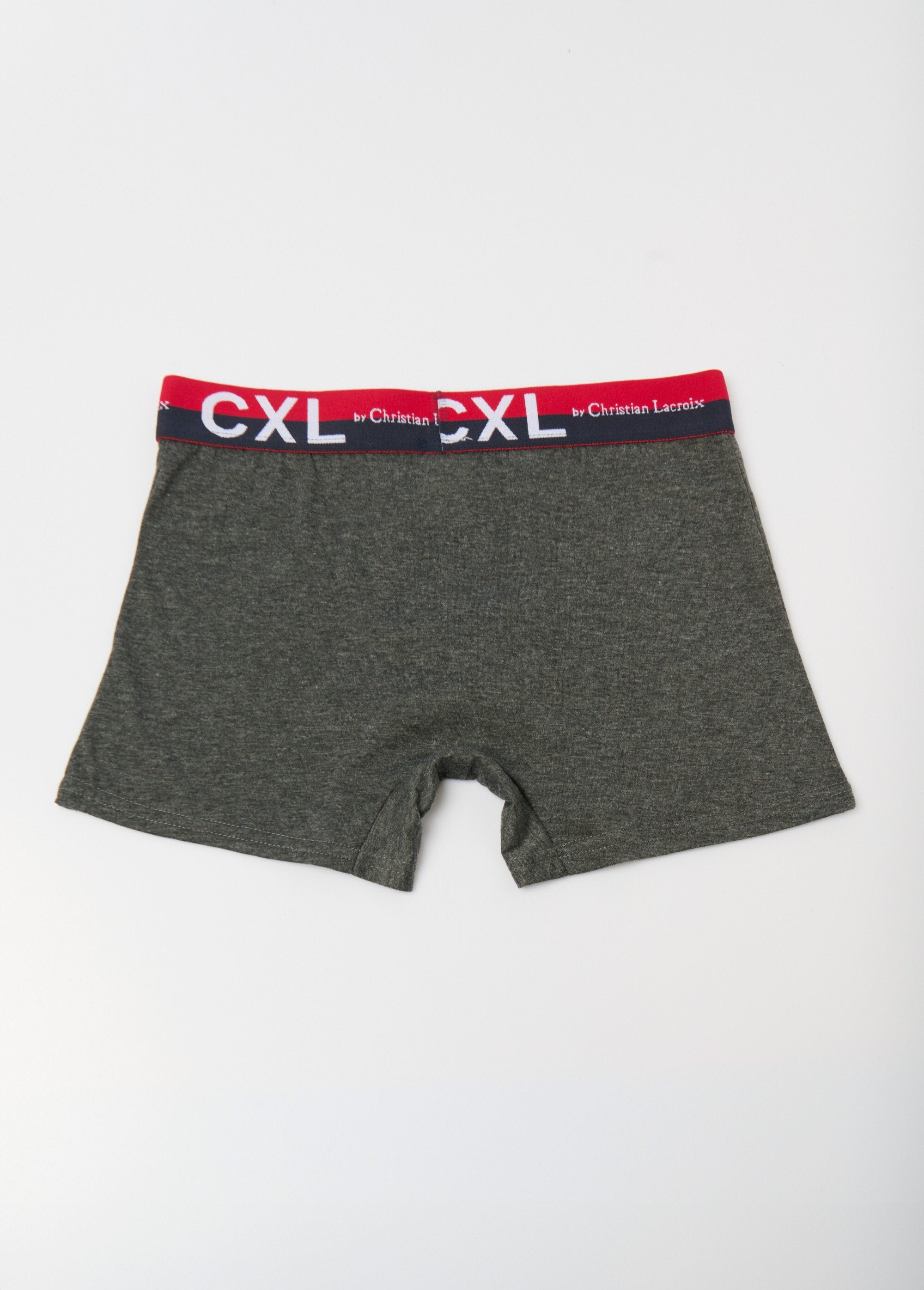 Plain_boxer_shorts_with_logo_waistband_Dark_gray_DO1_slim